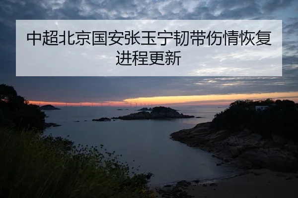 中超北京国安张玉宁韧带伤情恢复进程更新